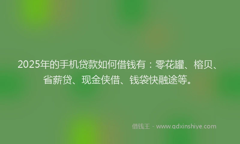 2025年的手机贷款如何借钱有：零花罐、榕贝、省薪贷、现金侠借、钱袋快融途等。