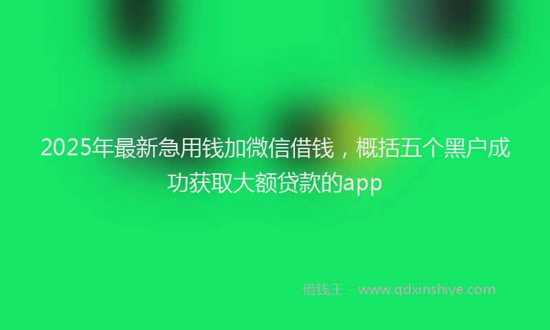 2025年最新急用钱加微信借钱，概括五个黑户成功获取大额贷款的app