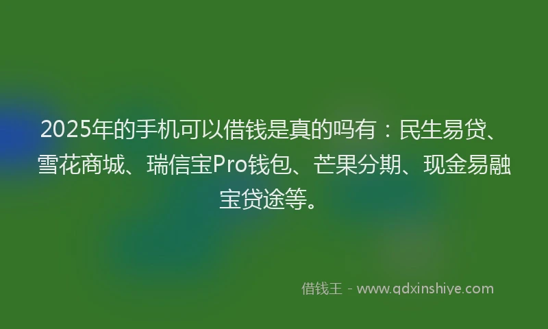 2025年的手机可以借钱是真的吗有：民生易贷、雪花商城、瑞信宝Pro钱包、芒果分期、现金易融宝贷途等。