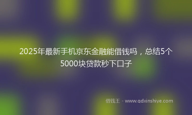 2025年最新手机京东金融能借钱吗，总结5个5000块贷款秒下口子