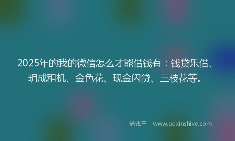 2025年的我的微信怎么才能借钱有：钱贷乐借、玥成租机、金色花、现金闪贷、三枝花等。