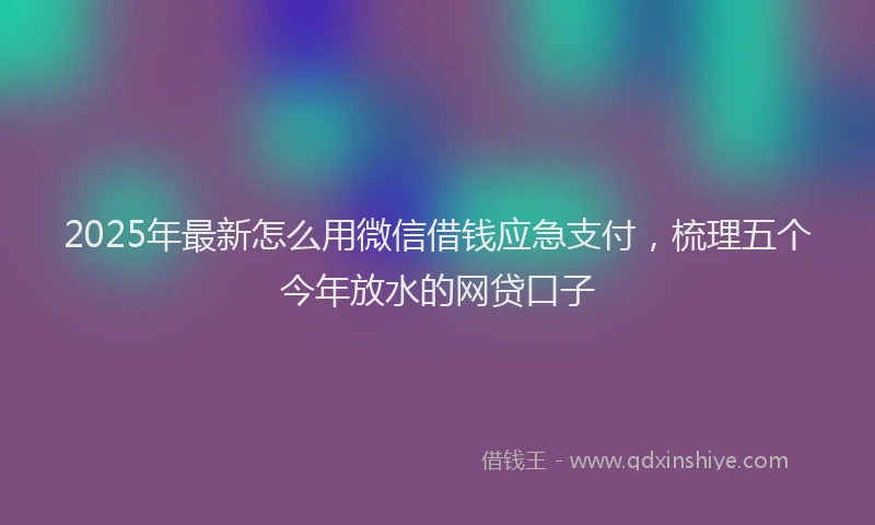2025年最新怎么用微信借钱应急支付，梳理五个今年放水的网贷口子