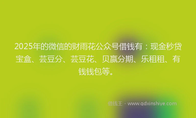 2025年的微信的财雨花公众号借钱有：现金秒贷宝盒、芸豆分、芸豆花、贝赢分期、乐租租、有钱钱包等。