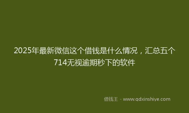 2025年最新微信这个借钱是什么情况，汇总五个714无视逾期秒下的软件
