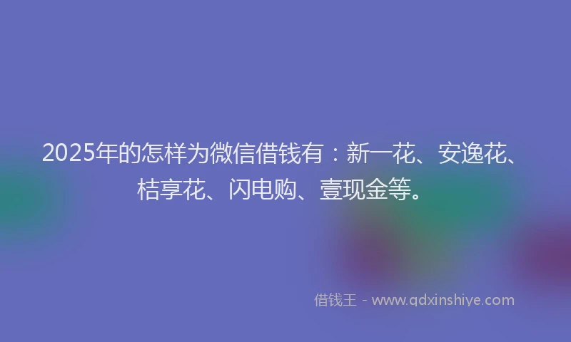 2025年的怎样为微信借钱有：新一花、安逸花、桔享花、闪电购、壹现金等。