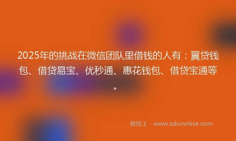 2025年的挑战在微信团队里借钱的人有：翼贷钱包、借贷易宝、优秒通、惠花钱包、借贷宝通等。