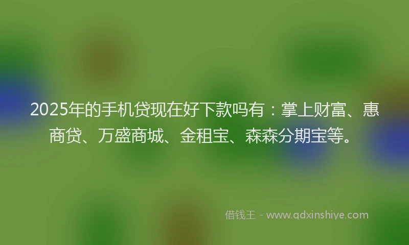 2025年的手机贷现在好下款吗有：掌上财富、惠商贷、万盛商城、金租宝、森森分期宝等。