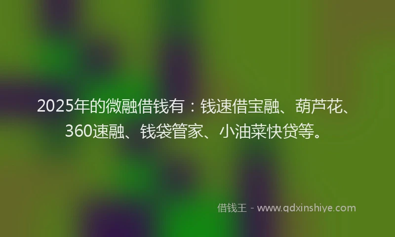 2025年的微融借钱有：钱速借宝融、葫芦花、360速融、钱袋管家、小油菜快贷等。