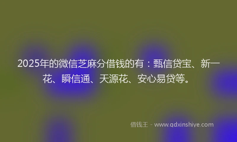 2025年的微信芝麻分借钱的有：甄信贷宝、新一花、瞬信通、天源花、安心易贷等。