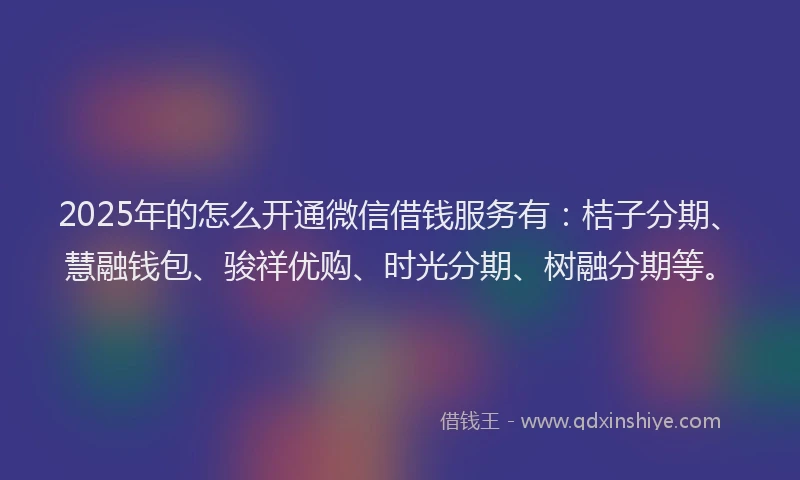 2025年的怎么开通微信借钱服务有：桔子分期、慧融钱包、骏祥优购、时光分期、树融分期等。