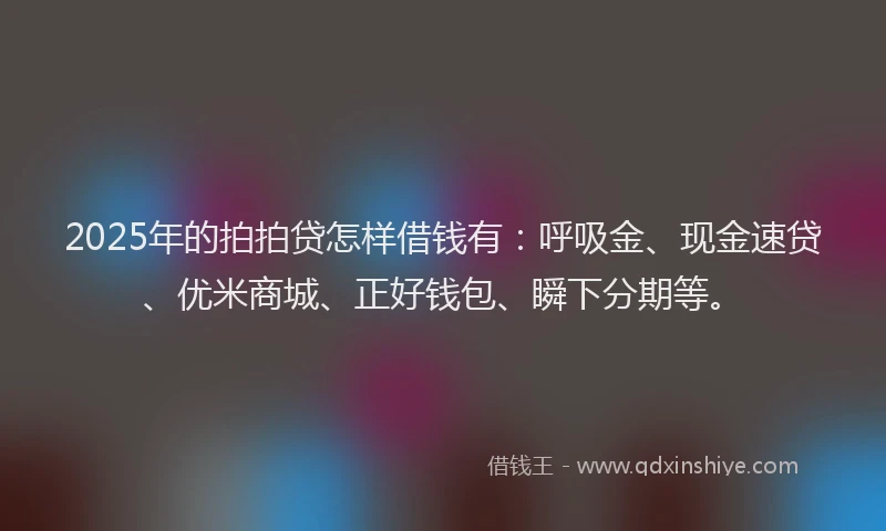 2025年的拍拍贷怎样借钱有：呼吸金、现金速贷、优米商城、正好钱包、瞬下分期等。