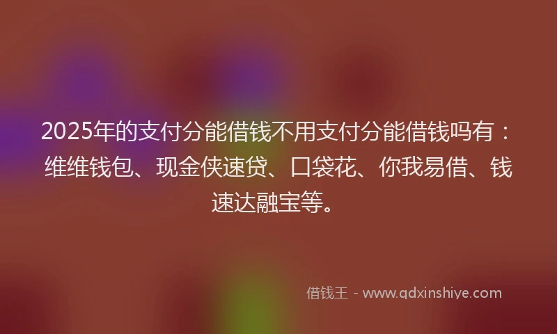 2025年的支付分能借钱不用支付分能借钱吗有：维维钱包、现金侠速贷、口袋花、你我易借、钱速达融宝等。