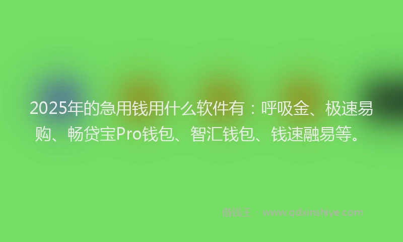 2025年的急用钱用什么软件有：呼吸金、极速易购、畅贷宝Pro钱包、智汇钱包、钱速融易等。