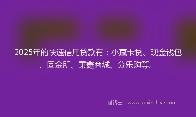 2025年的快速信用贷款有：小赢卡贷、现金钱包、固金所、秉鑫商城、分乐购等。