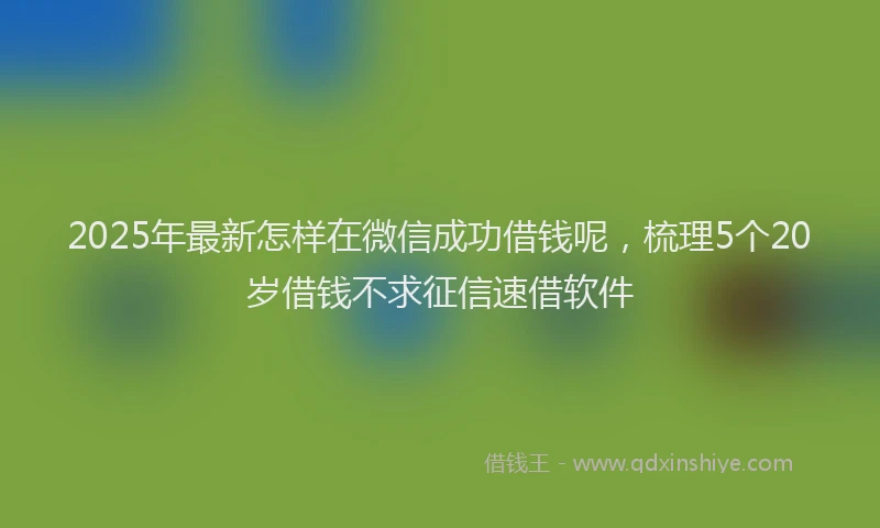2025年最新怎样在微信成功借钱呢，梳理5个20岁借钱不求征信速借软件