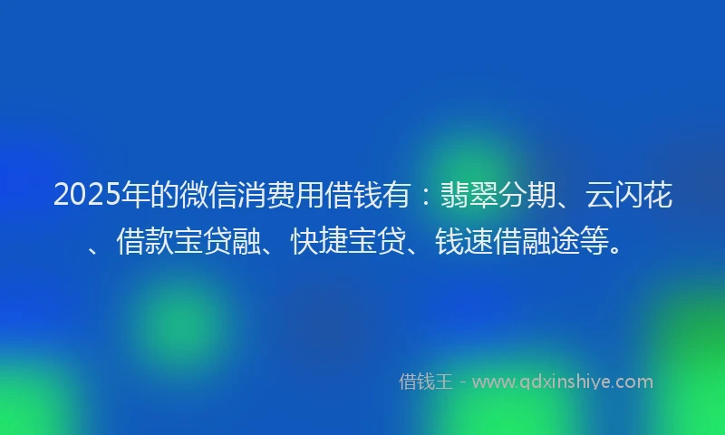2025年的微信消费用借钱有：翡翠分期、云闪花、借款宝贷融、快捷宝贷、钱速借融途等。