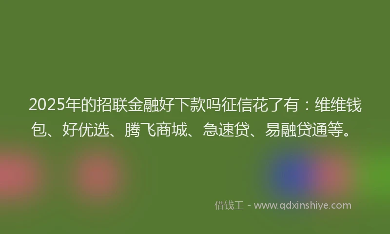 2025年的招联金融好下款吗征信花了有：维维钱包、好优选、腾飞商城、急速贷、易融贷通等。