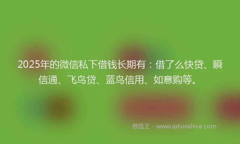 2025年的微信私下借钱长期有：借了么快贷、瞬信通、飞鸟贷、蓝鸟信用、如意购等。