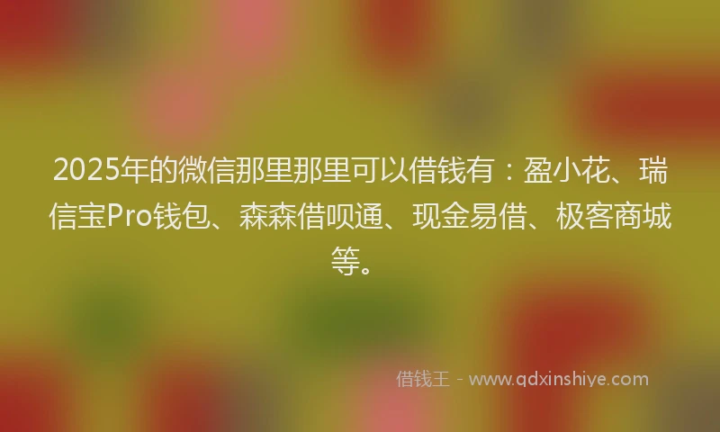 2025年的微信那里那里可以借钱有：盈小花、瑞信宝Pro钱包、森森借呗通、现金易借、极客商城等。