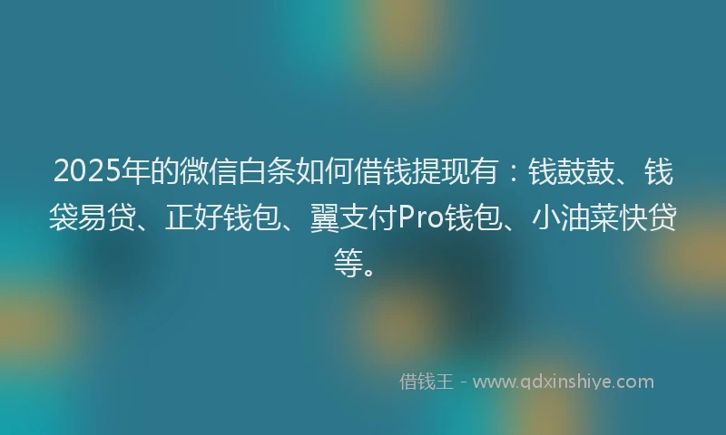 2025年的微信白条如何借钱提现有：钱鼓鼓、钱袋易贷、正好钱包、翼支付Pro钱包、小油菜快贷等。