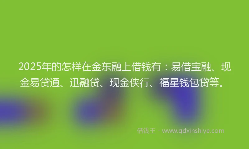 2025年的怎样在金东融上借钱有：易借宝融、现金易贷通、迅融贷、现金侠行、福星钱包贷等。