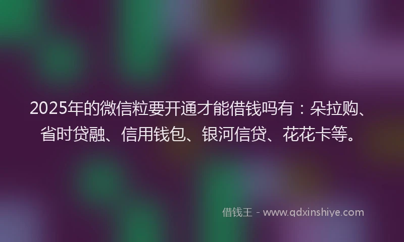 2025年的微信粒要开通才能借钱吗有：朵拉购、省时贷融、信用钱包、银河信贷、花花卡等。