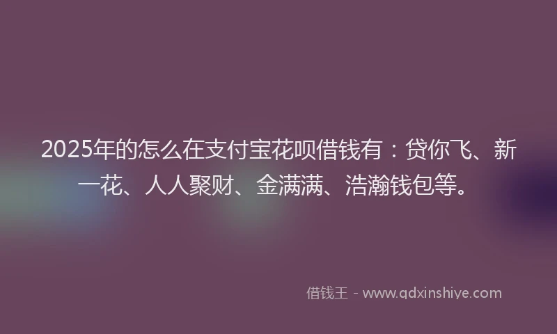 2025年的怎么在支付宝花呗借钱有：贷你飞、新一花、人人聚财、金满满、浩瀚钱包等。