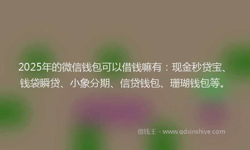 2025年的微信钱包可以借钱嘛有：现金秒贷宝、钱袋瞬贷、小象分期、信贷钱包、珊瑚钱包等。