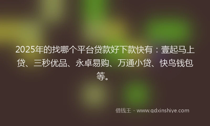 2025年的找哪个平台贷款好下款快有：壹起马上贷、三秒优品、永卓易购、万通小贷、快鸟钱包等。