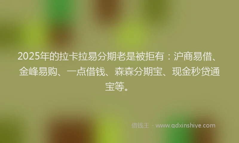 2025年的拉卡拉易分期老是被拒有：沪商易借、金峰易购、一点借钱、森森分期宝、现金秒贷通宝等。