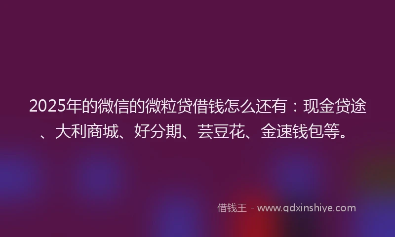 2025年的微信的微粒贷借钱怎么还有：现金贷途、大利商城、好分期、芸豆花、金速钱包等。
