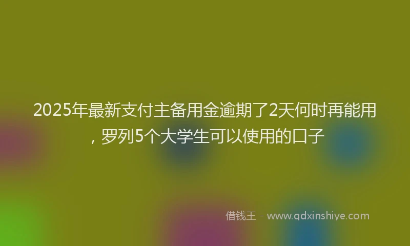 2025年最新支付主备用金逾期了2天何时再能用，罗列5个大学生可以使用的口子