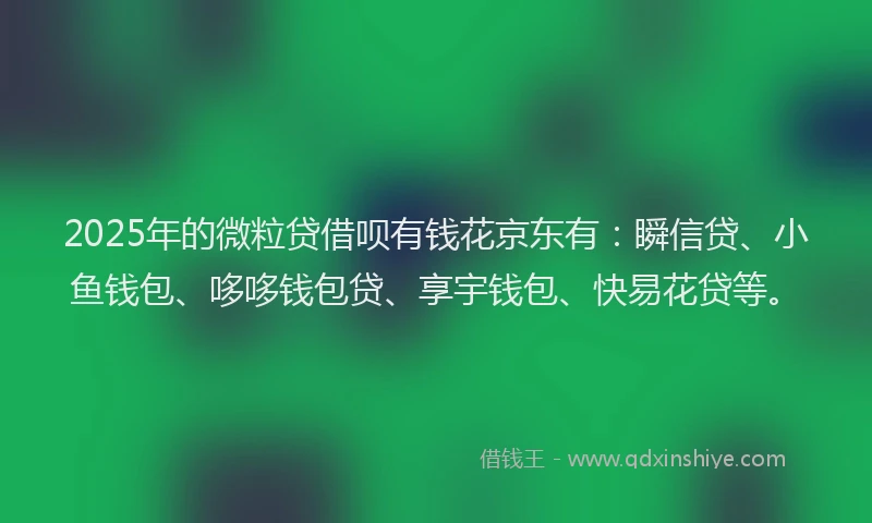 2025年的微粒贷借呗有钱花京东有：瞬信贷、小鱼钱包、哆哆钱包贷、享宇钱包、快易花贷等。
