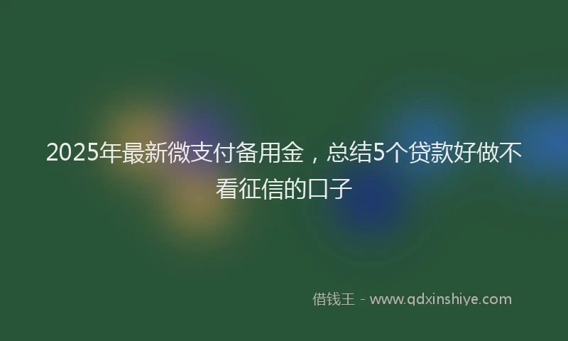 2025年最新微支付备用金，总结5个贷款好做不看征信的口子