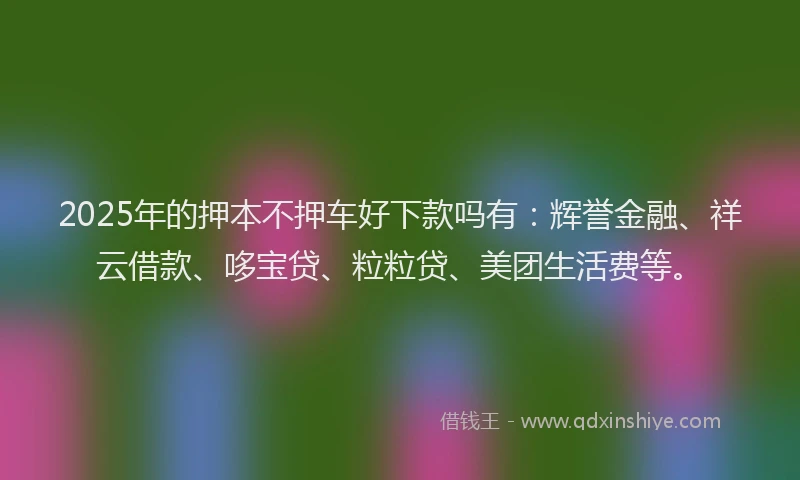 2025年的押本不押车好下款吗有：辉誉金融、祥云借款、哆宝贷、粒粒贷、美团生活费等。