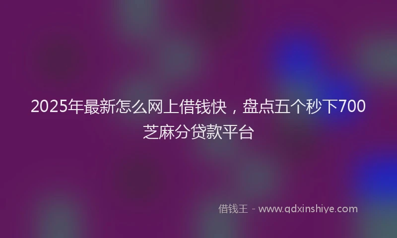 2025年最新怎么网上借钱快，盘点五个秒下700芝麻分贷款平台