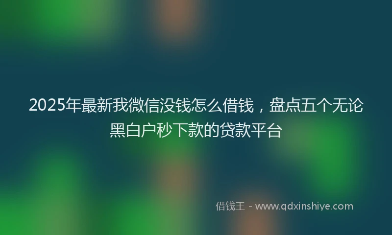 2025年最新我微信没钱怎么借钱，盘点五个无论黑白户秒下款的贷款平台