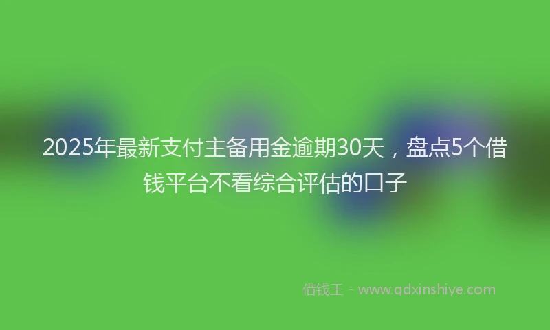 2025年最新支付主备用金逾期30天，盘点5个借钱平台不看综合评估的口子
