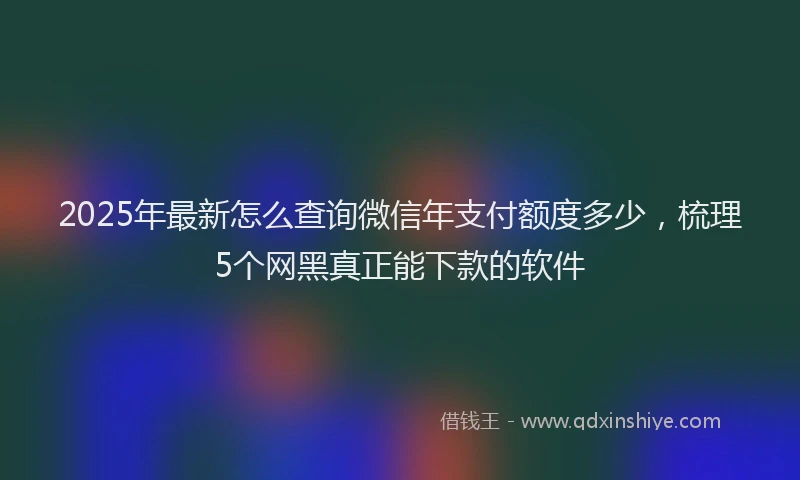 2025年最新怎么查询微信年支付额度多少，梳理5个网黑真正能下款的软件