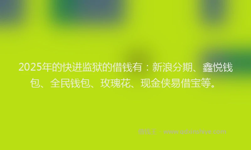 2025年的快进监狱的借钱有：新浪分期、鑫悦钱包、全民钱包、玫瑰花、现金侠易借宝等。