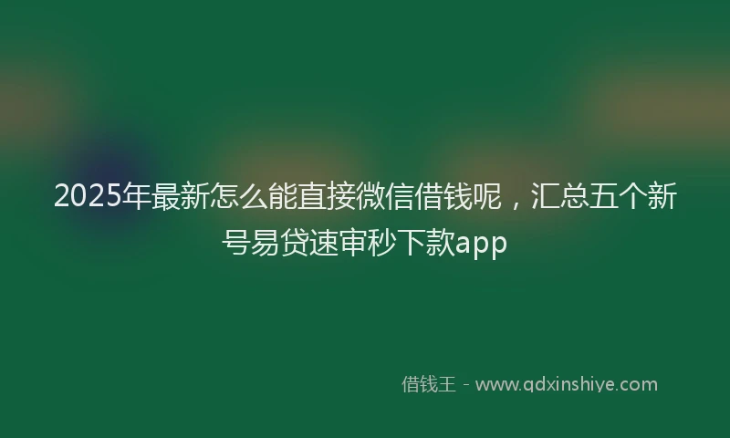 2025年最新怎么能直接微信借钱呢，汇总五个新号易贷速审秒下款app
