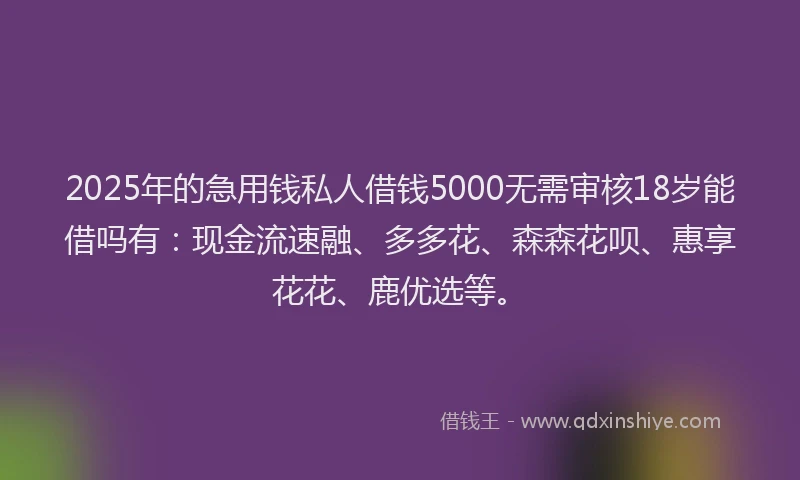 2025年的急用钱私人借钱5000无需审核18岁能借吗有：现金流速融、多多花、森森花呗、惠享花花、鹿优选等。