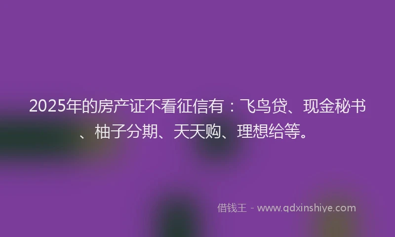 2025年的房产证不看征信有：飞鸟贷、现金秘书、柚子分期、天天购、理想给等。