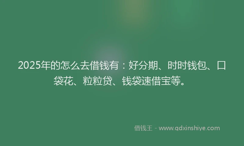 2025年的怎么去借钱有：好分期、时时钱包、口袋花、粒粒贷、钱袋速借宝等。