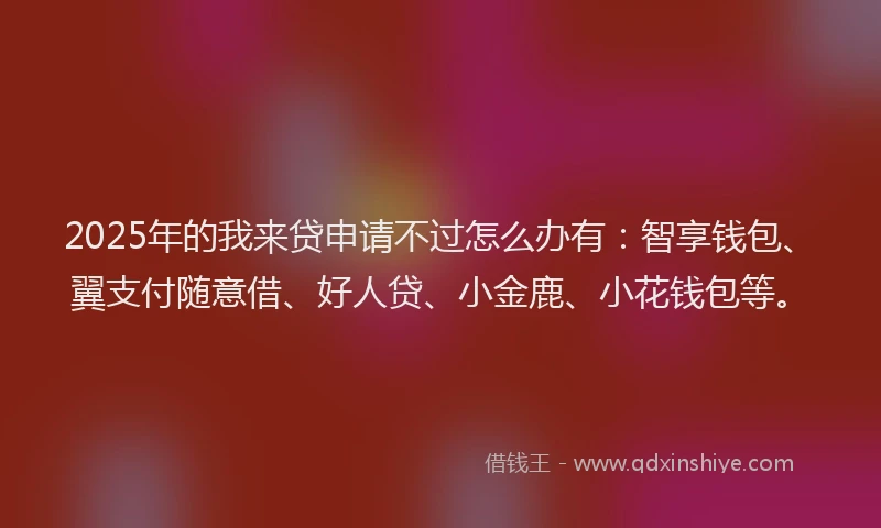 2025年的我来贷申请不过怎么办有：智享钱包、翼支付随意借、好人贷、小金鹿、小花钱包等。