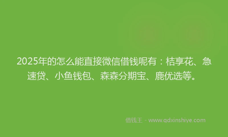 2025年的怎么能直接微信借钱呢有：桔享花、急速贷、小鱼钱包、森森分期宝、鹿优选等。