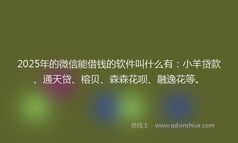 2025年的微信能借钱的软件叫什么有：小羊贷款、通天贷、榕贝、森森花呗、融逸花等。