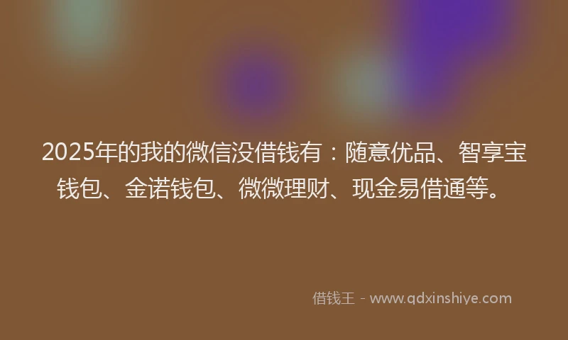2025年的我的微信没借钱有：随意优品、智享宝钱包、金诺钱包、微微理财、现金易借通等。