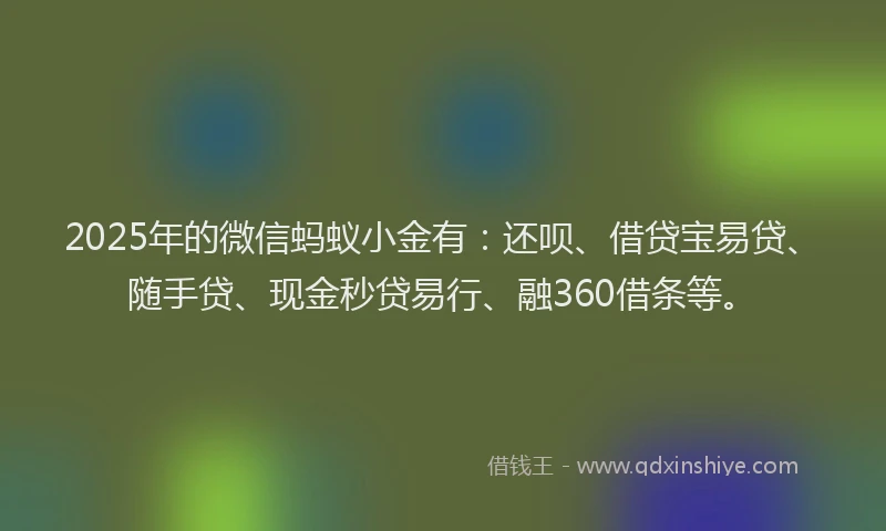 2025年的微信蚂蚁小金有：还呗、借贷宝易贷、随手贷、现金秒贷易行、融360借条等。