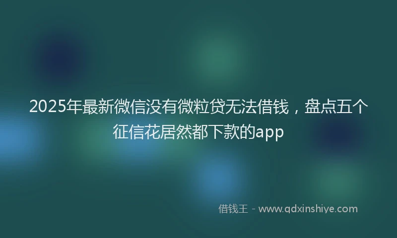 2025年最新微信没有微粒贷无法借钱，盘点五个征信花居然都下款的app